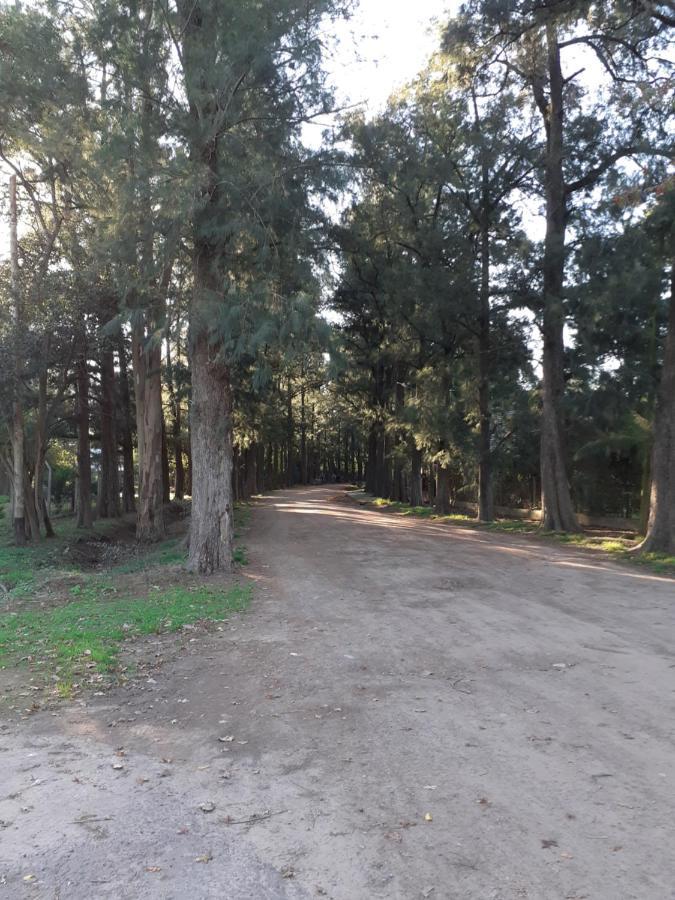 شقة Parque Leloir, Ituzaingo Villa Leloir المظهر الخارجي الصورة